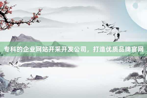 专科的企业网站开采开发公司，打造优质品牌官网