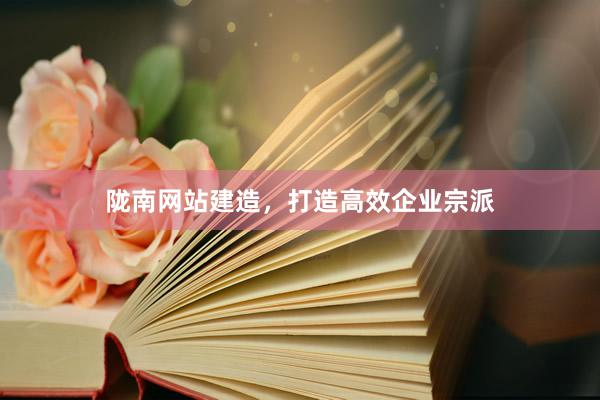 陇南网站建造，打造高效企业宗派