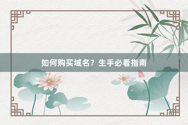 如何购买域名？生手必看指南