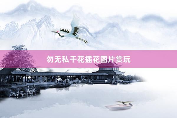 勿无私干花插花图片赏玩