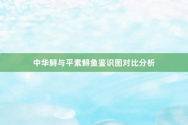 中华鲟与平素鲟鱼鉴识图对比分析